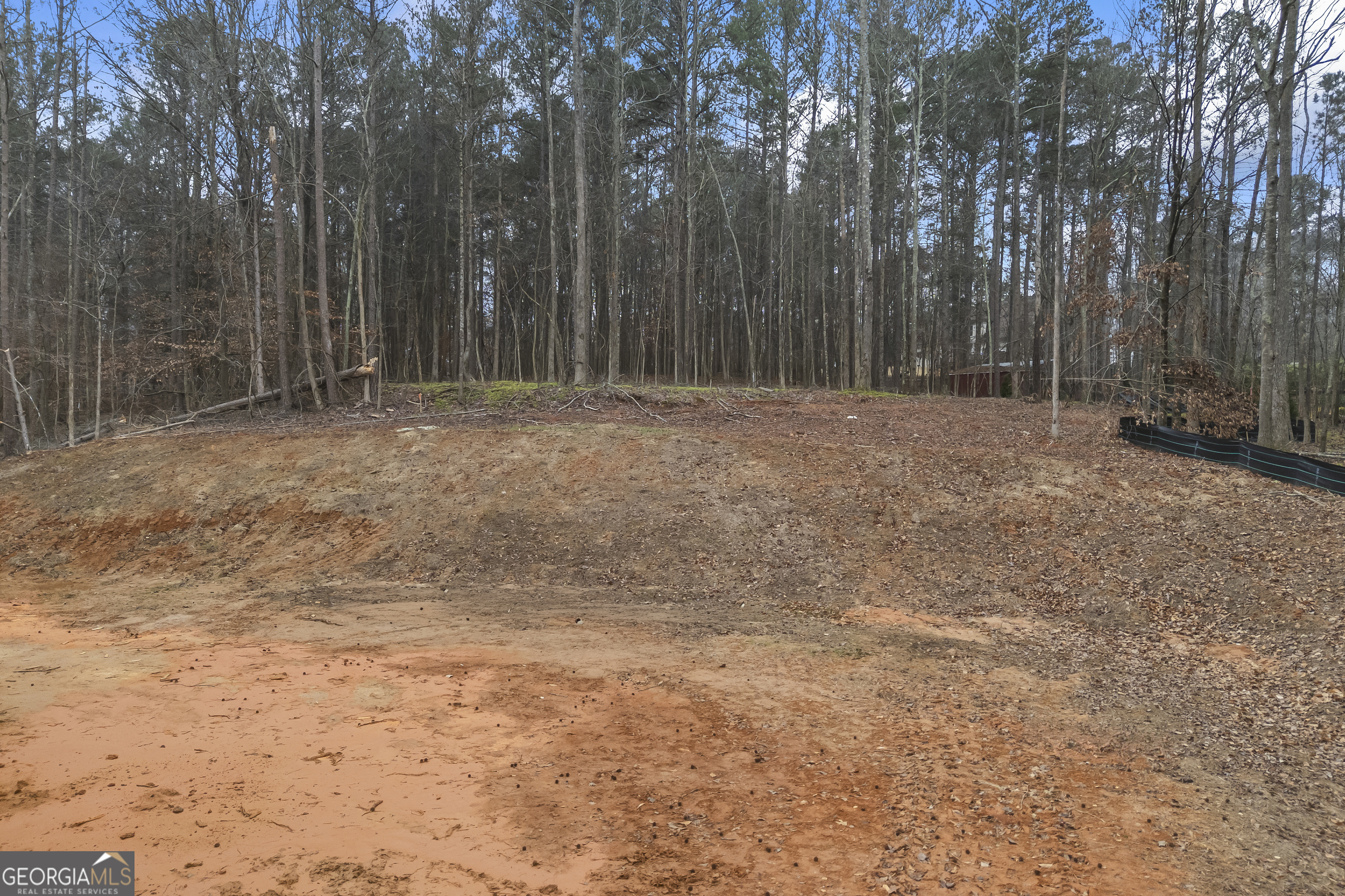 205 Chariot Court Jefferson, GA 30549 - Photo 16 of 23 a view of backyard with large trees