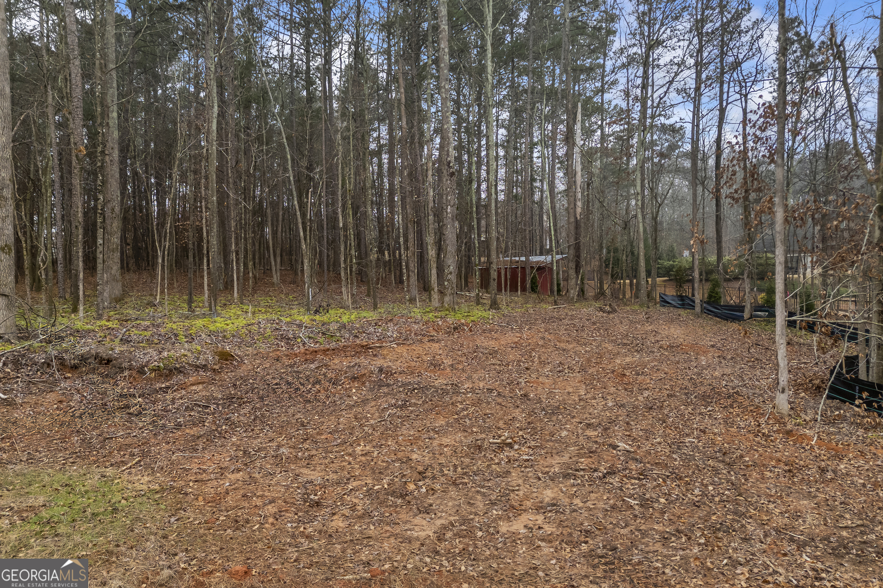205 Chariot Court Jefferson, GA 30549 - Photo 17 of 23 a backyard of a house with lots of green space