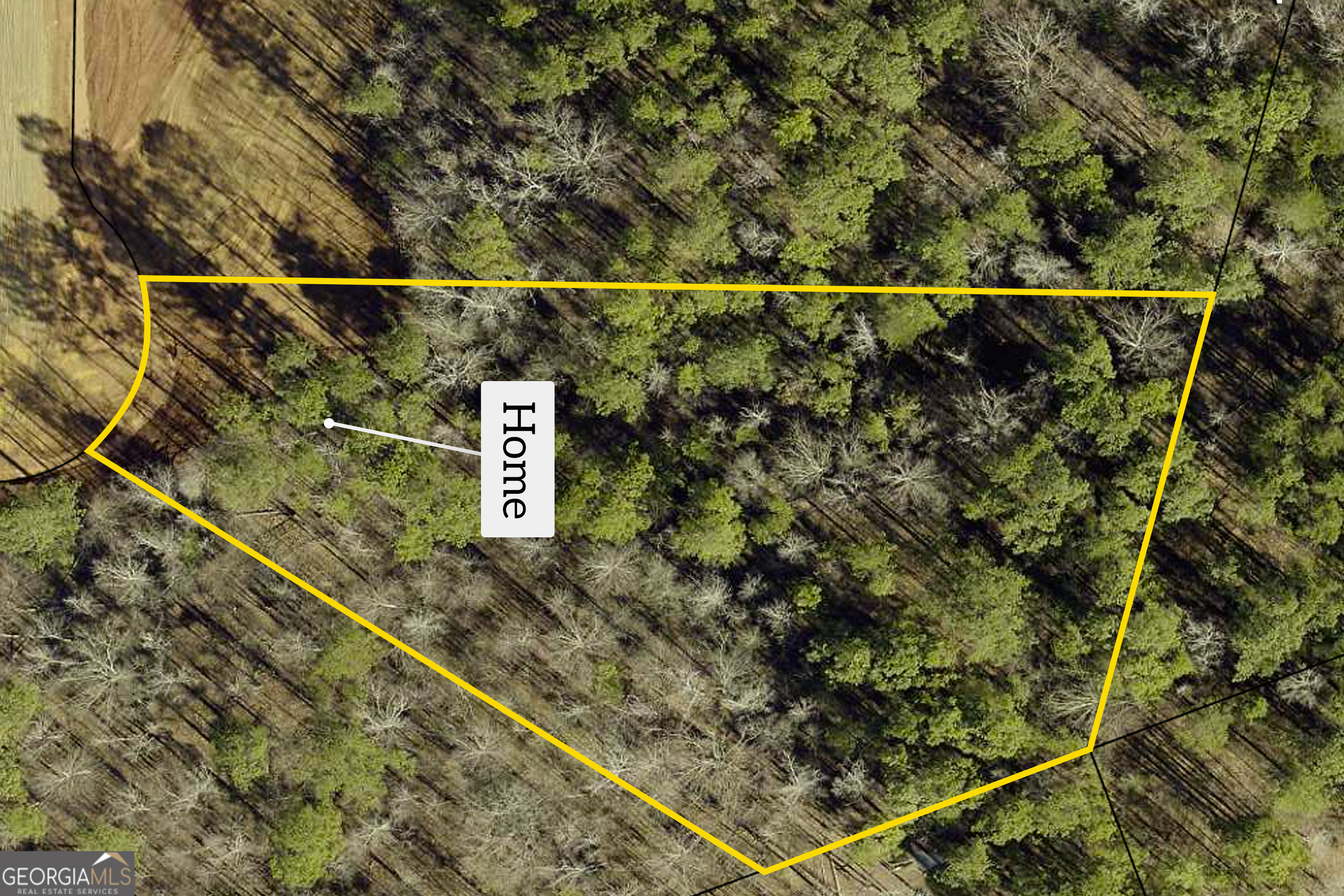 205 Chariot Court Jefferson, GA 30549 - Photo 18 of 23 a view of a street