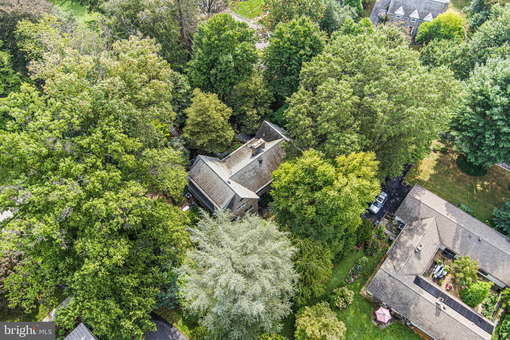 15 Wellesley Road Swarthmore, PA 19081 - Photo 38 of 42