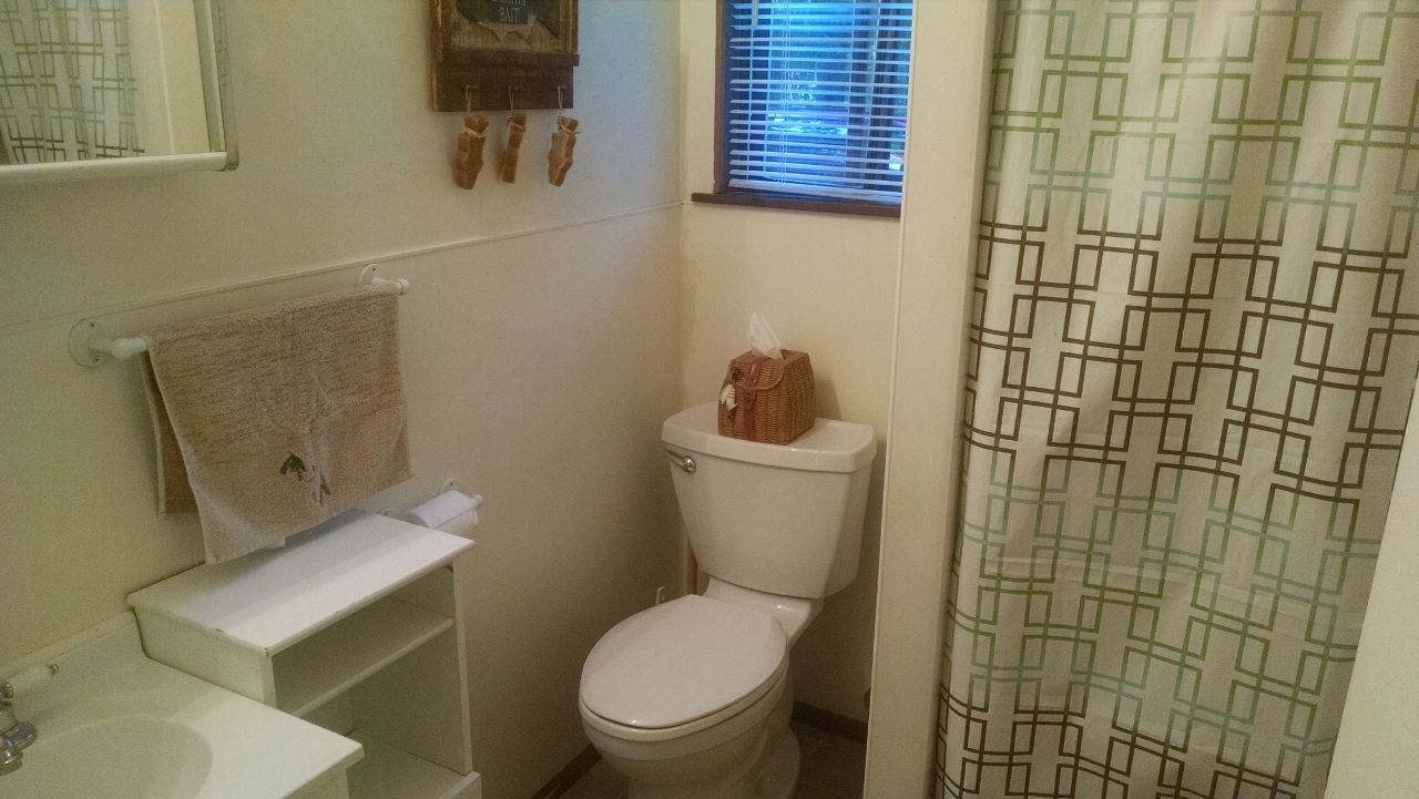 8473 Deadstream Road Honor, MI 49640 - Photo 16 of 25 1820227-15.JPG