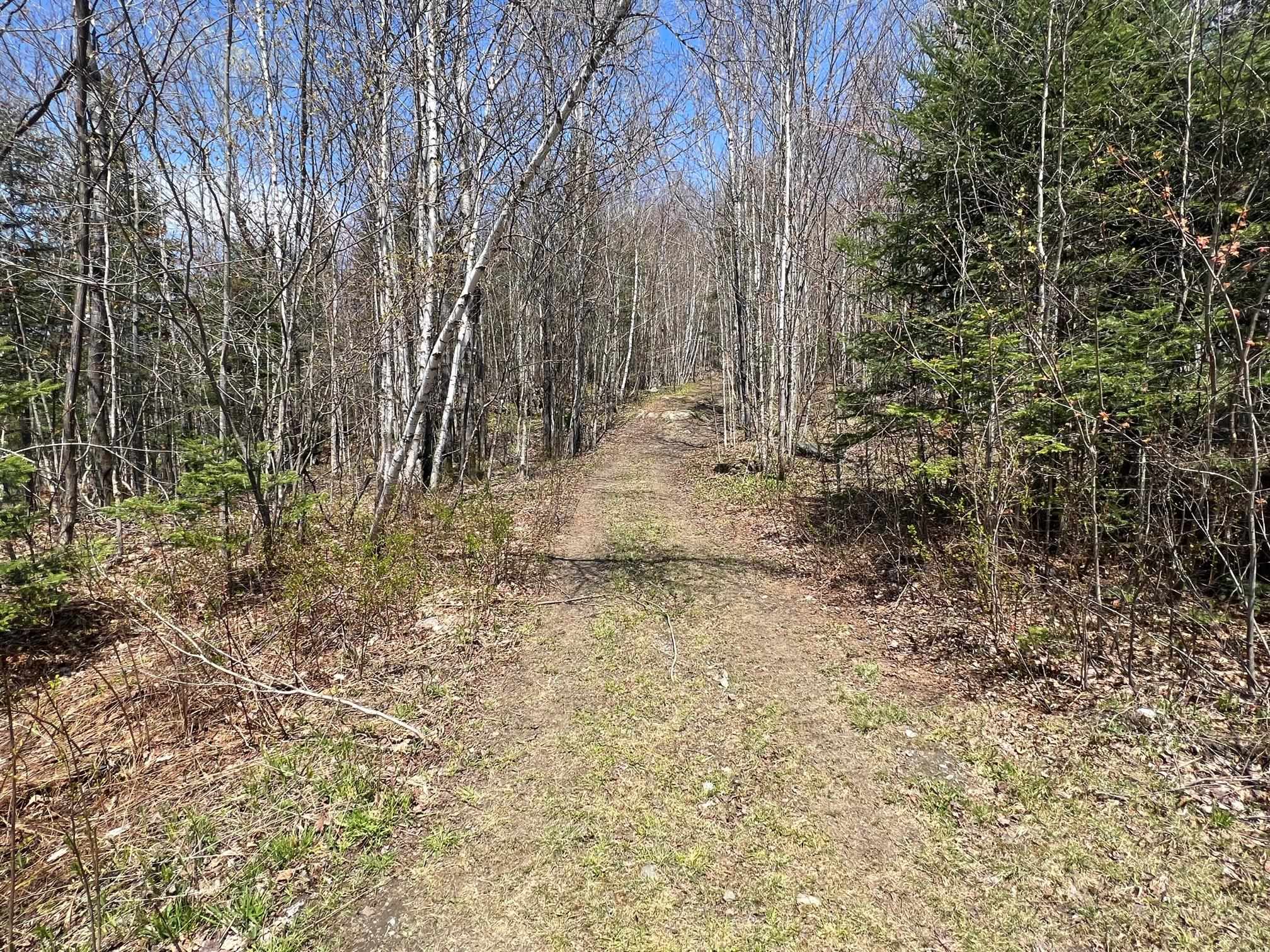 - Back Farm Road Clarksville, NH 03592 - Photo 2 of 7