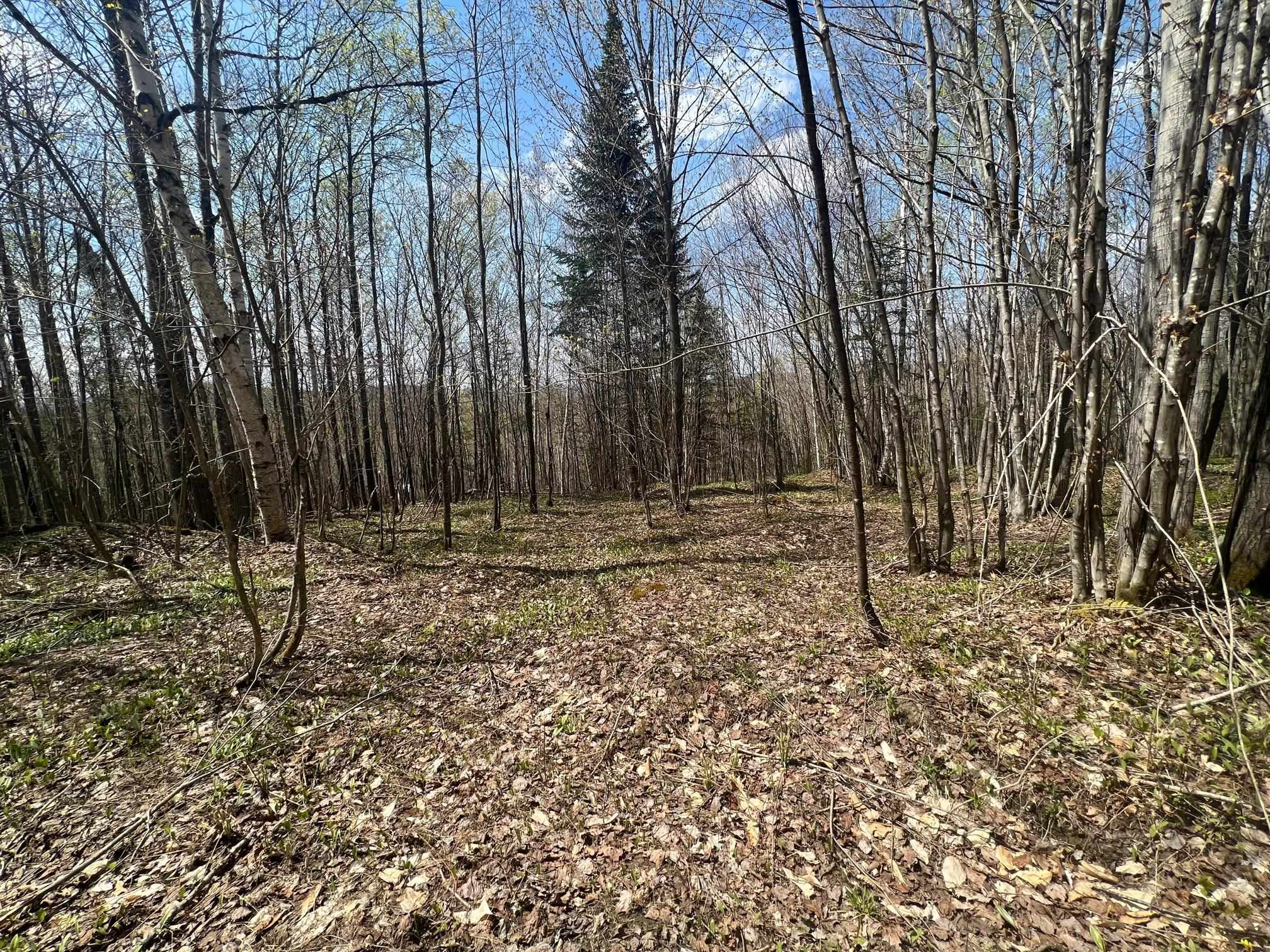 - Back Farm Road Clarksville, NH 03592 - Photo 3 of 7