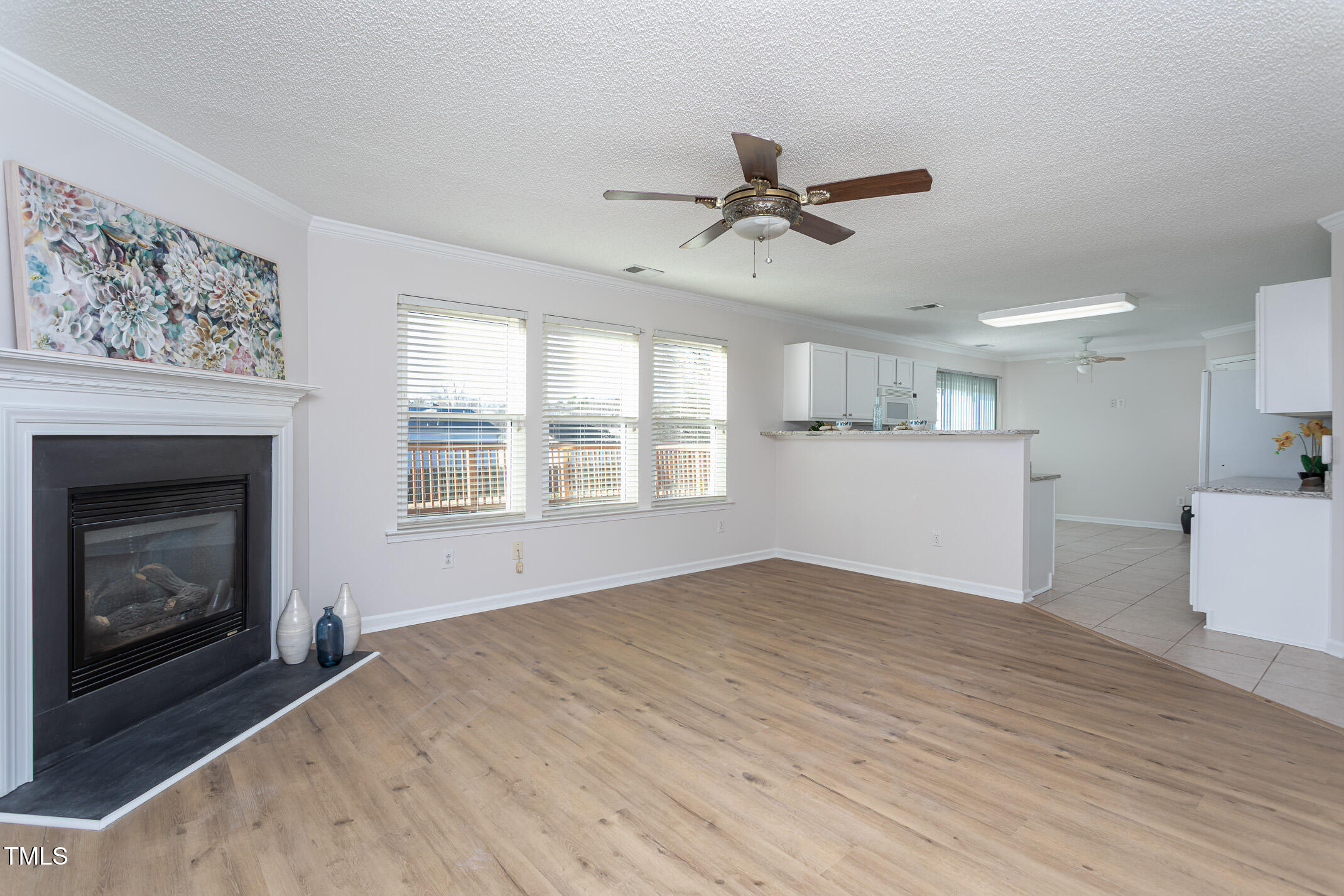 3208 Flowery Branch Road Raleigh, NC 27610 - Photo 2 of 32 Living Room w/ Fireplace