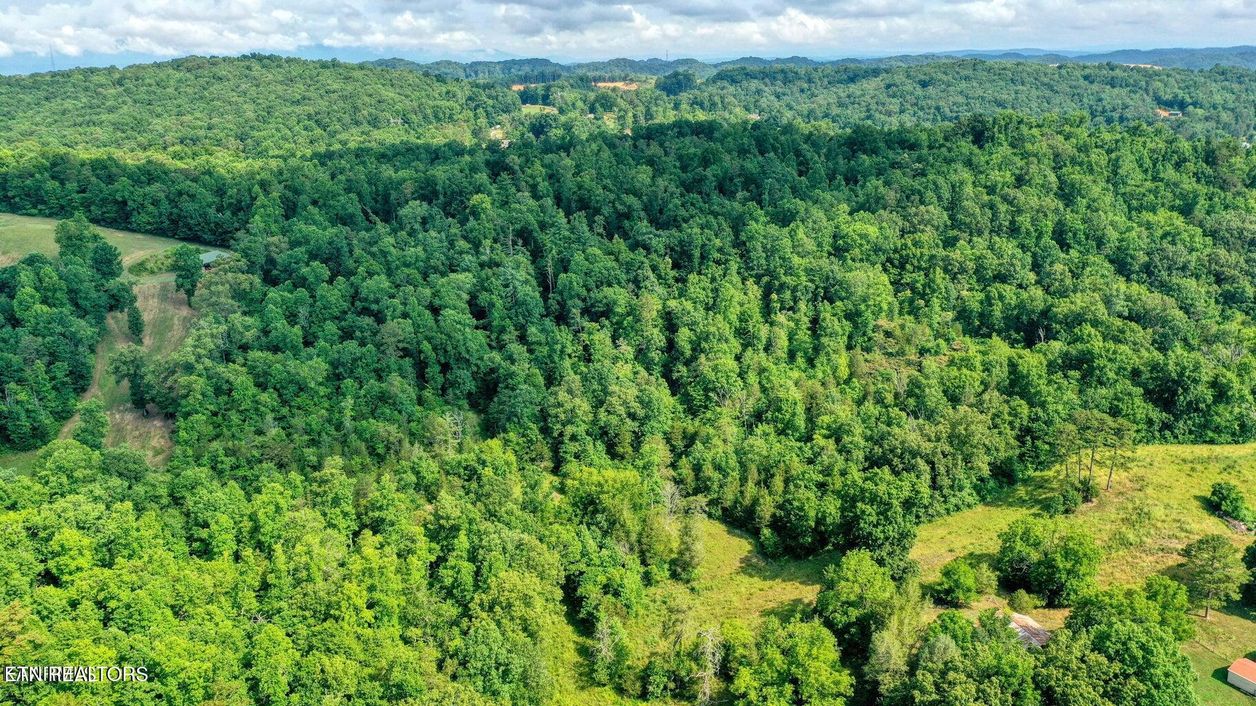 East Raccoon Valley Drive Heiskell, TN 37754 - Photo 13 of 13 13