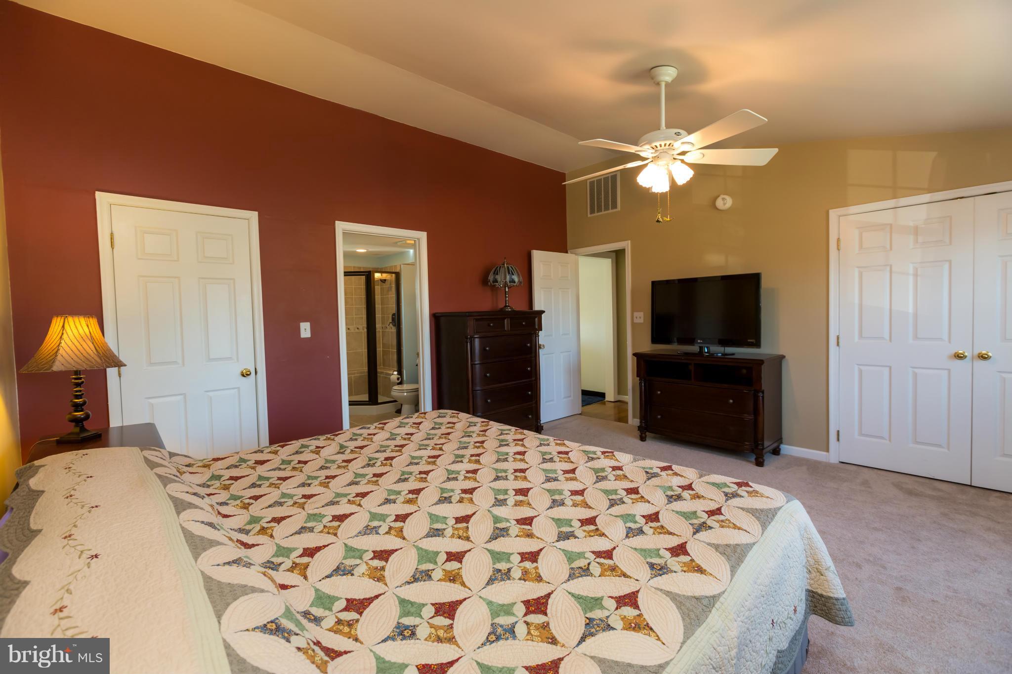 6602 Wind Ridge Road Mount Airy, MD 21771 - Photo 14 of 30 Bedroom (Master) with cathedral ceilings