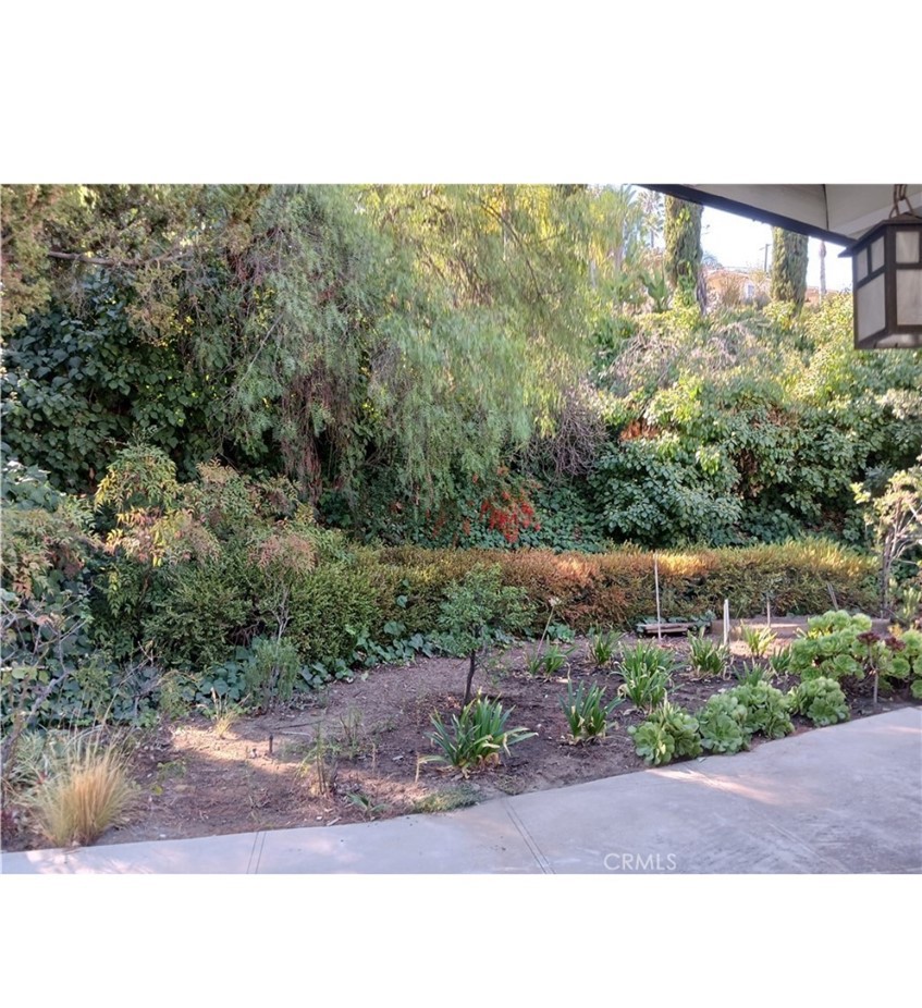 16526 Adlon Road Encino, CA 91436 - Photo 1 of 1 garden