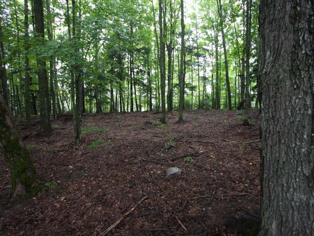 7195 Cth Road Argonne, WI 54511 - Photo 10 of 20 Gallery Image 10