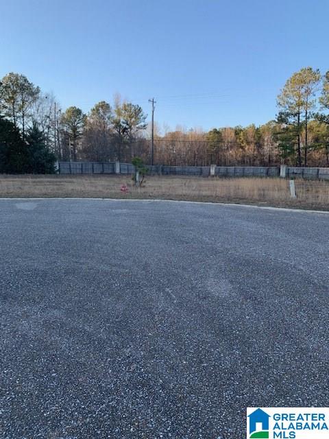 0 Spring Court, Unit 5 Clanton, AL 35045 - Photo 3 of 5