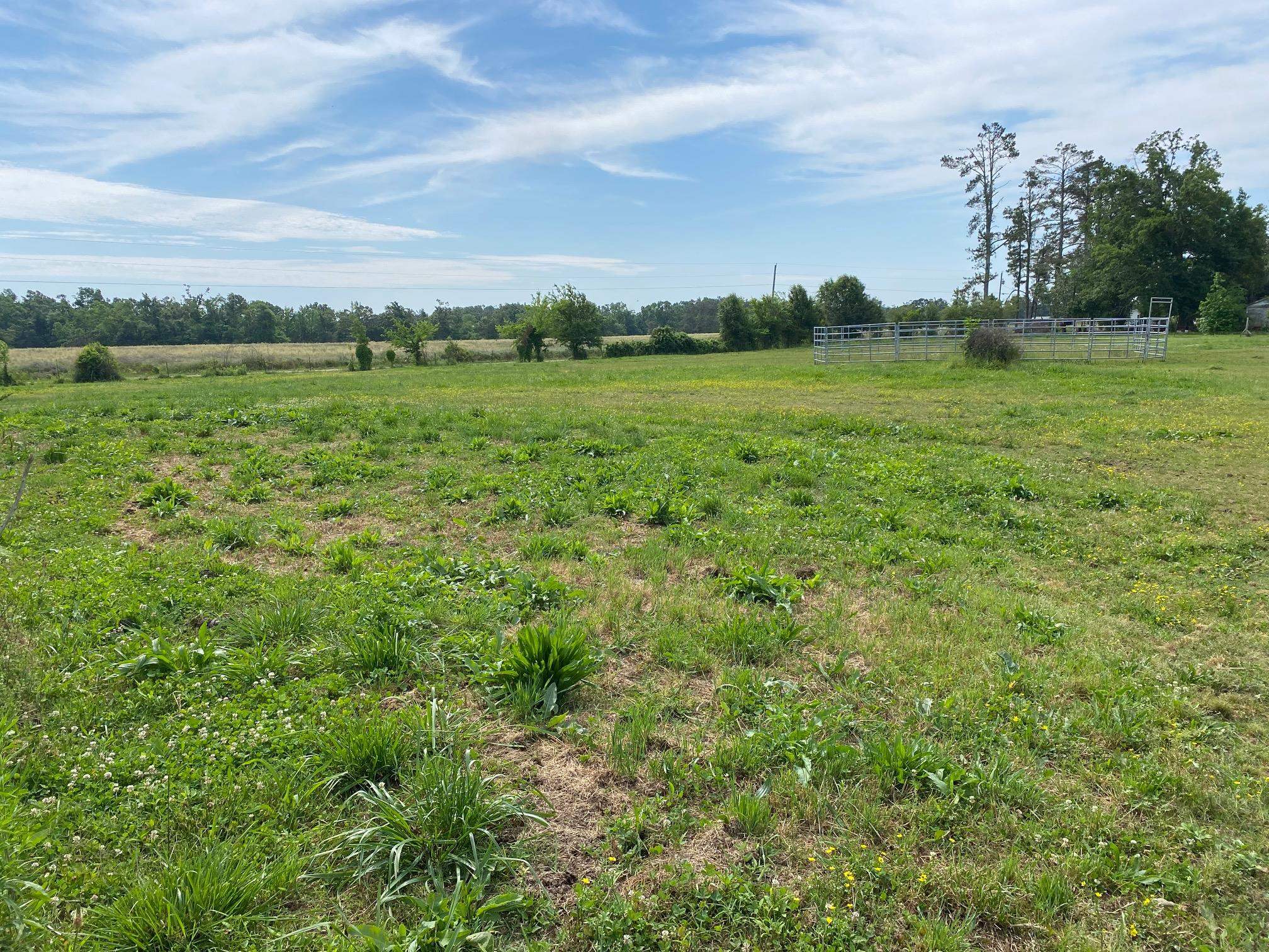 Dillon Road Michie, TN 38357 - Photo 1 of 7 a view of a green field with wooden fence