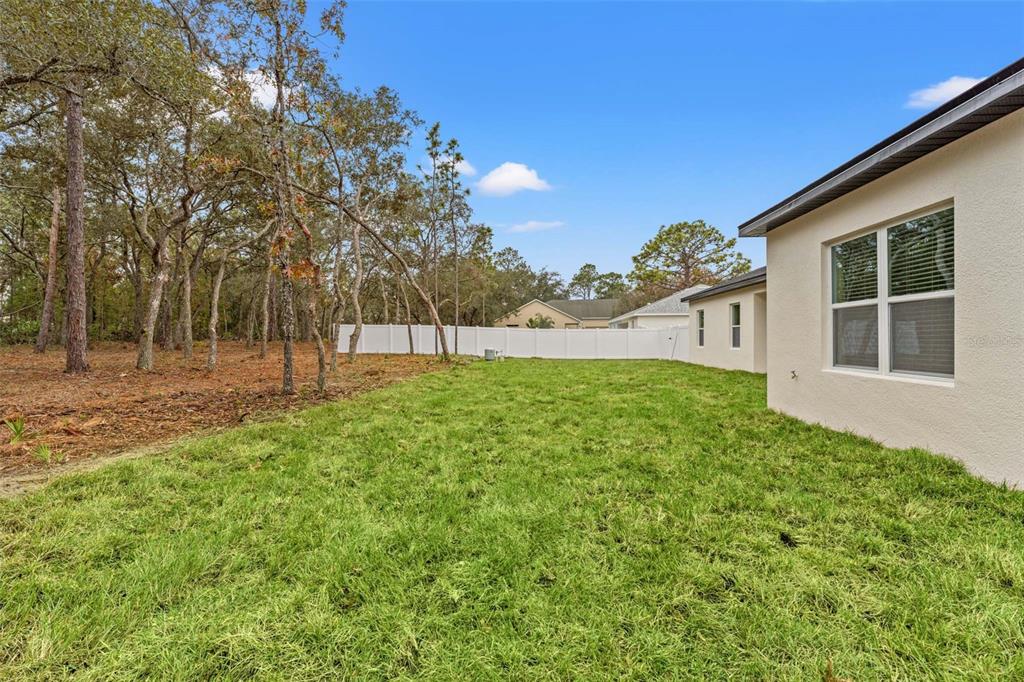 11374 Paramount Avenue Weeki Wachee, FL 34614 - Photo 62 of 69