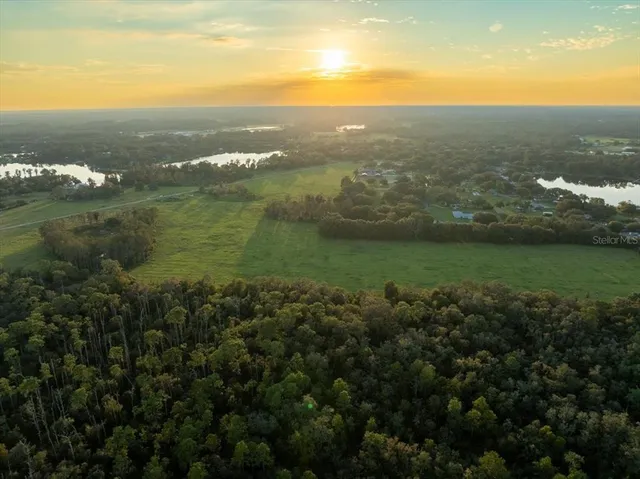 a view of a garden with a flower garden