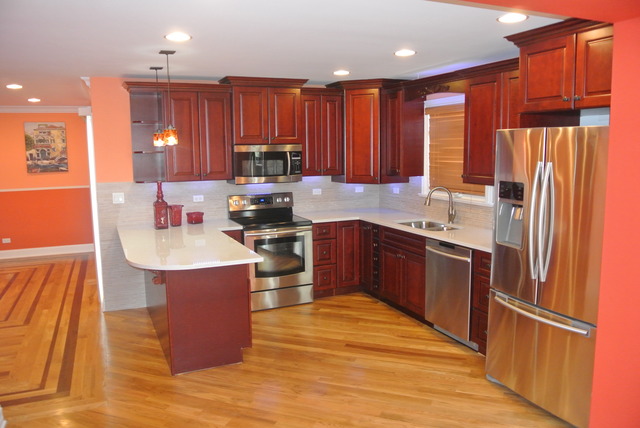 641 Neva Avenue Addison, IL 60101 - Photo 2 of 20