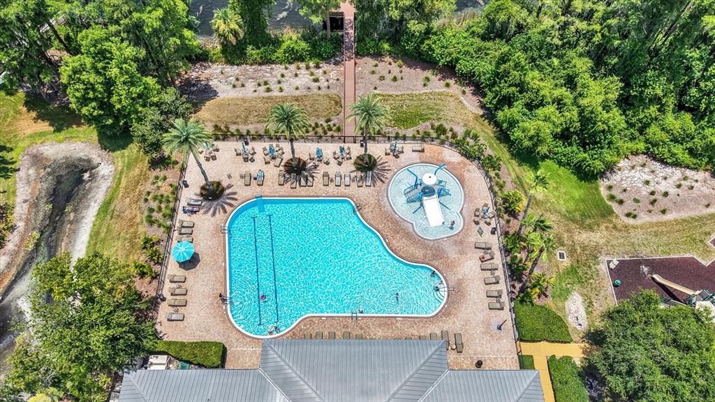 9137 Creedmoor Lane New Port Richey, FL 34654 - Photo 52 of 62