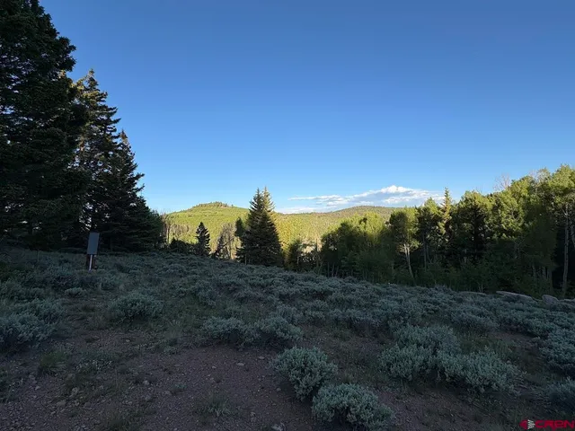 a view of a yard with a house
