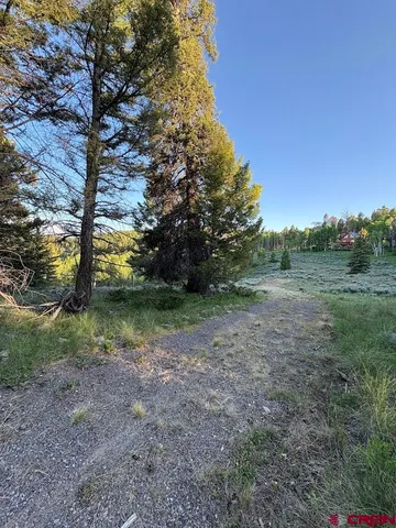 a view of outdoor space with trees