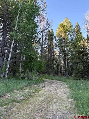 a view of outdoor space and green space