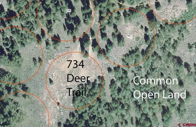 a view of a park with large trees