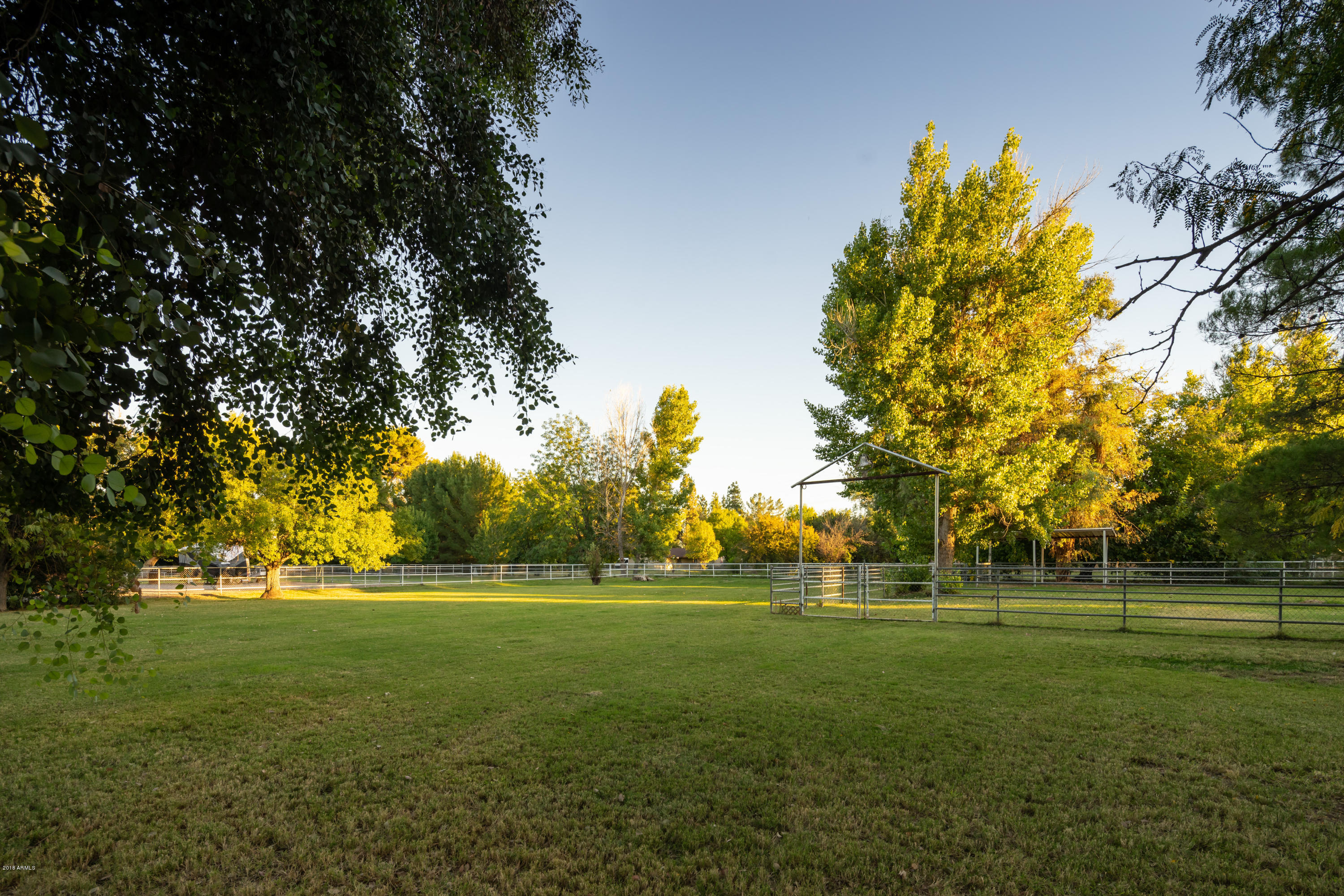 2265 East Redfield Road Gilbert, AZ 85234 - Photo 54 of 57 Coral