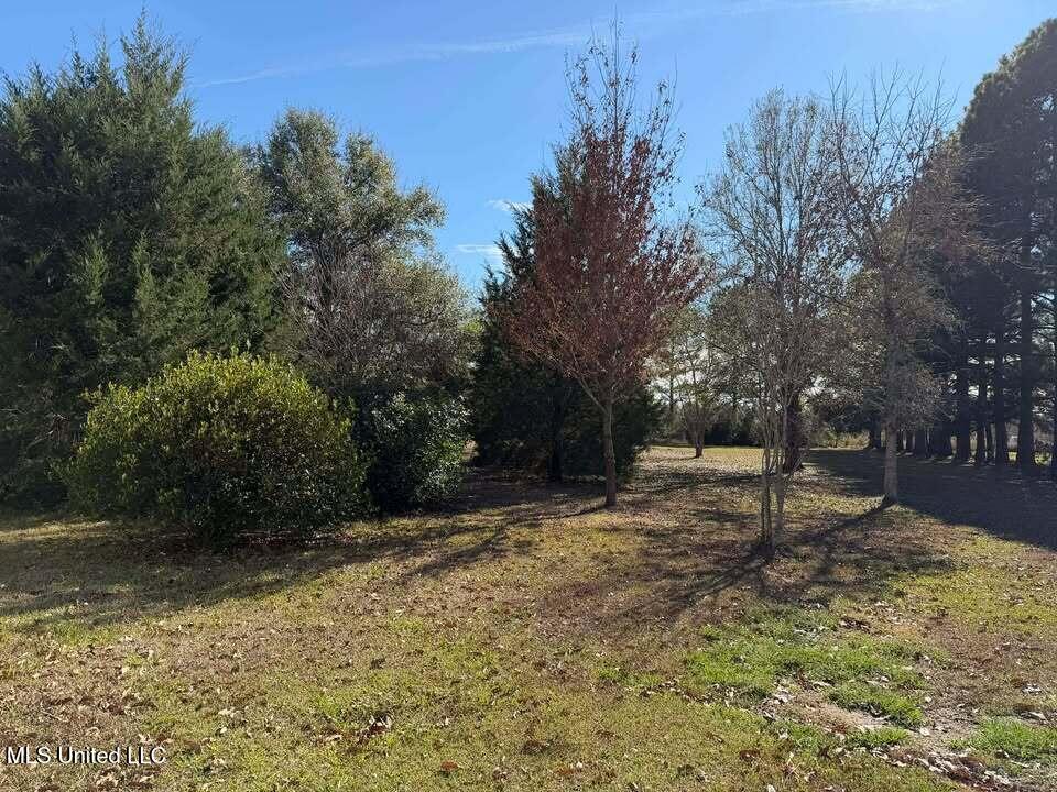 281 Holland Road Lucedale, MS 39452 - Photo 10 of 14 601311810_1521243502313248_1847062458237