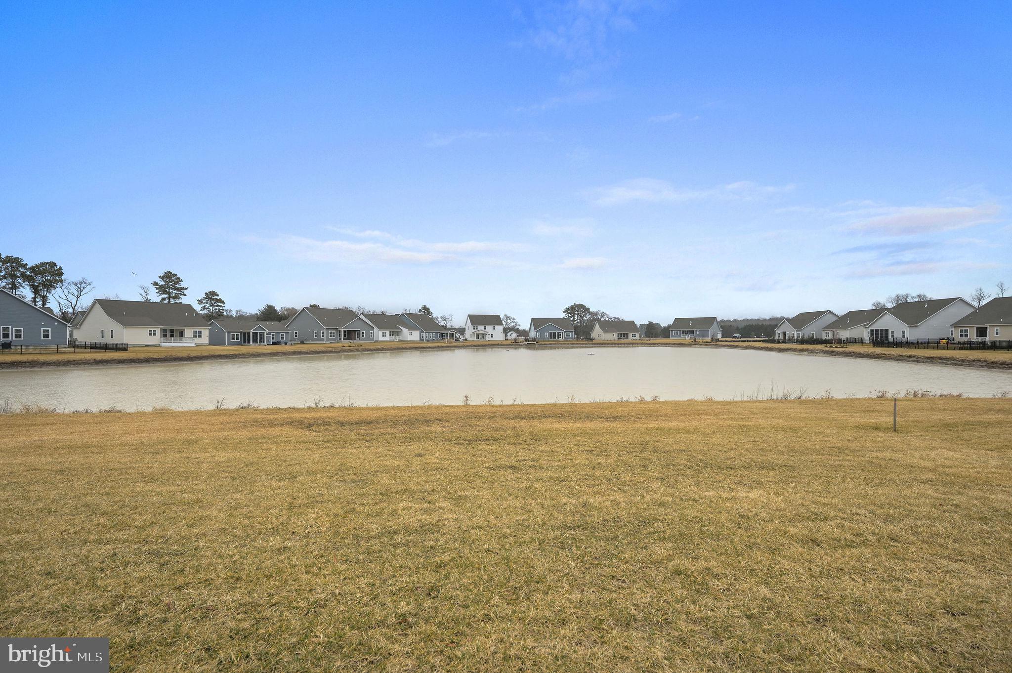 30366 Indigo Way Georgetown, DE 19947 - Photo 4 of 37