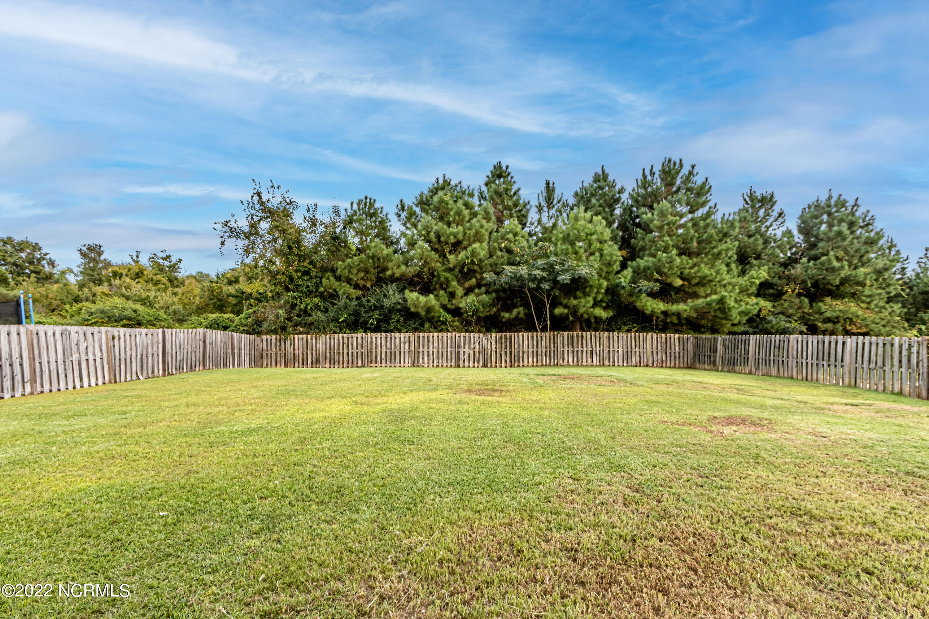 208 Emerald Ridge Road Jacksonville, NC 28546 - Photo 50 of 73 Backyard