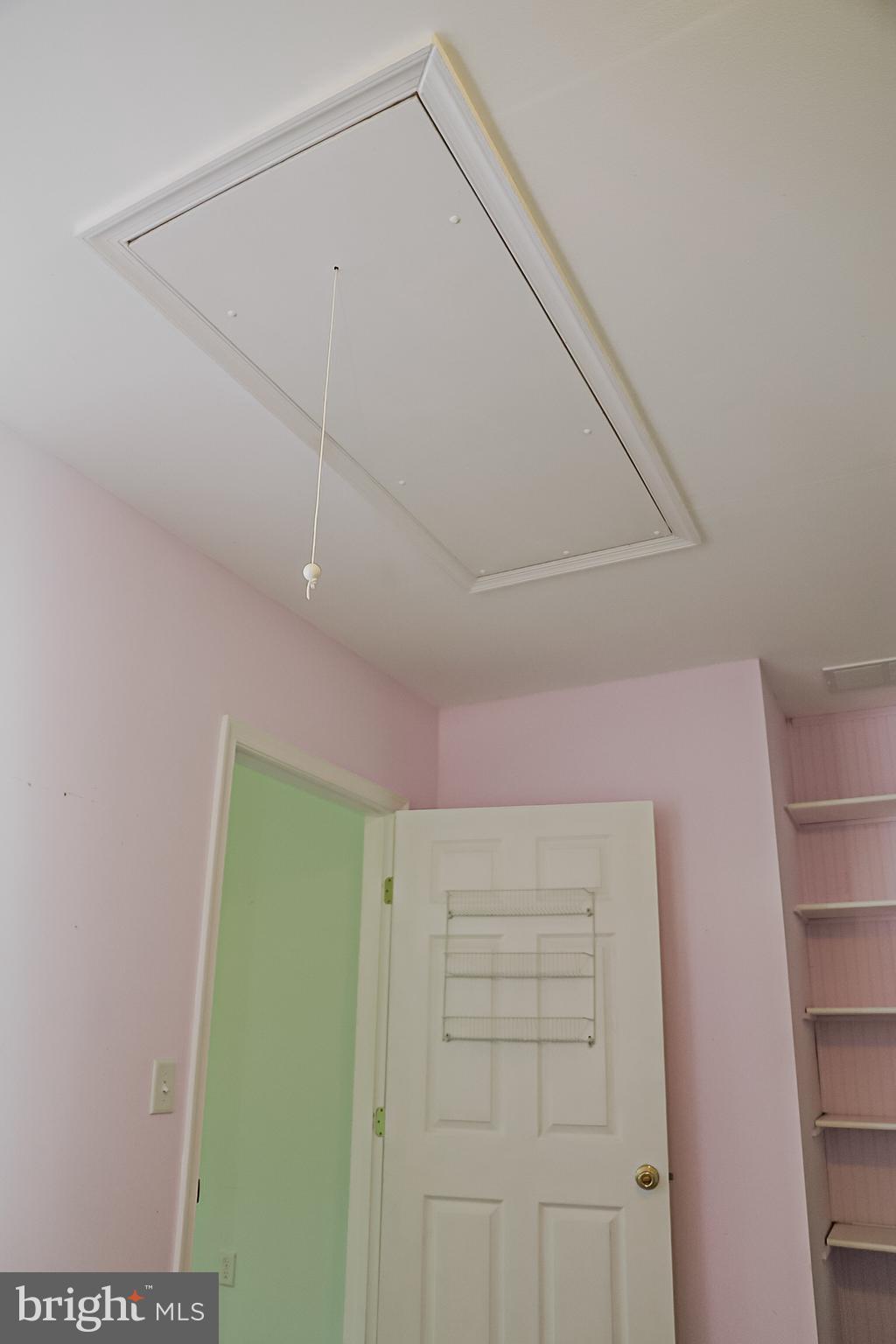 26741 Siloam Road Salisbury, MD 21801 - Photo 21 of 73 Pull down attic stairs in Sitting Room