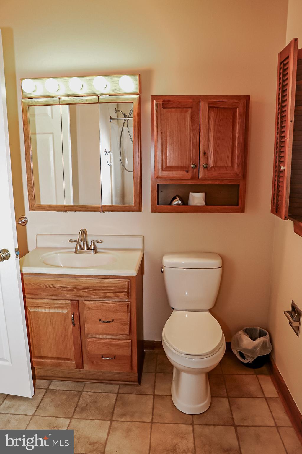 26741 Siloam Road Salisbury, MD 21801 - Photo 23 of 73 Hall Bath has tub/shower