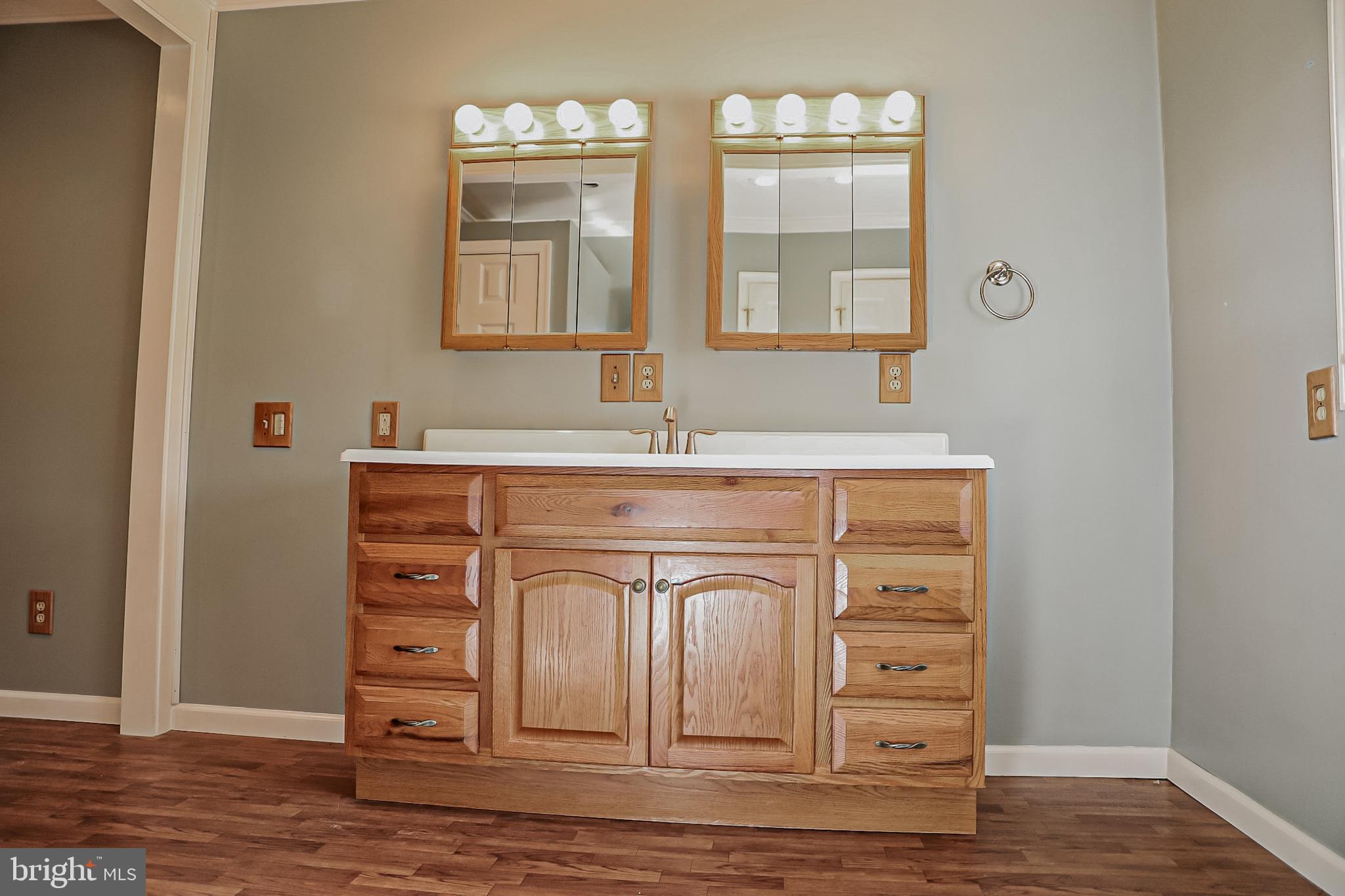 26741 Siloam Road Salisbury, MD 21801 - Photo 40 of 73 Primary Bath vanity