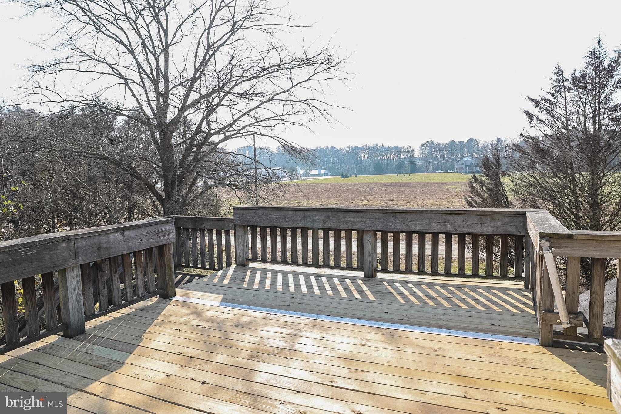 26741 Siloam Road Salisbury, MD 21801 - Photo 57 of 73 A pleasant view of a farmer's field