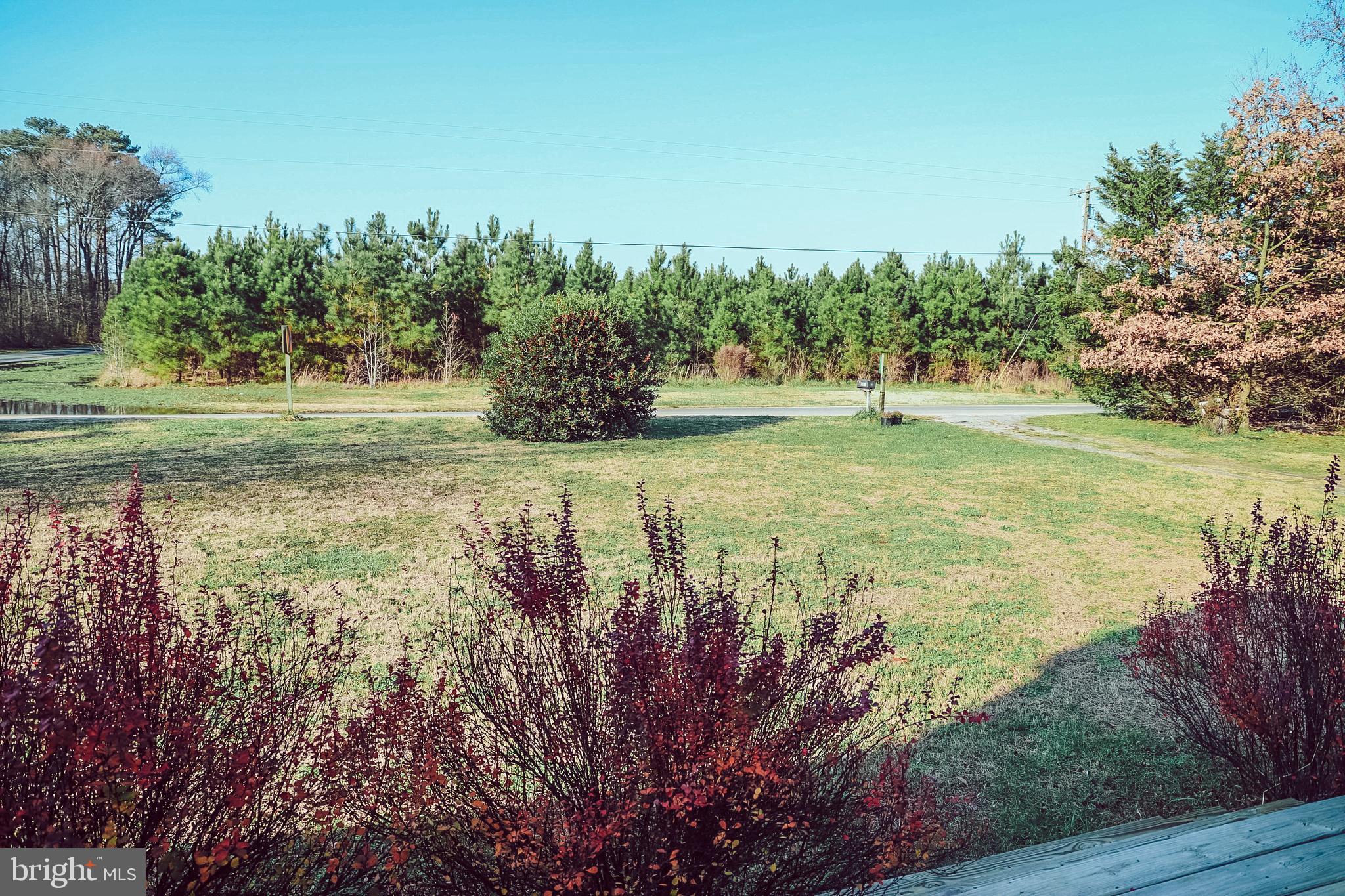 26741 Siloam Road Salisbury, MD 21801 - Photo 59 of 73 View of large backyard from deck