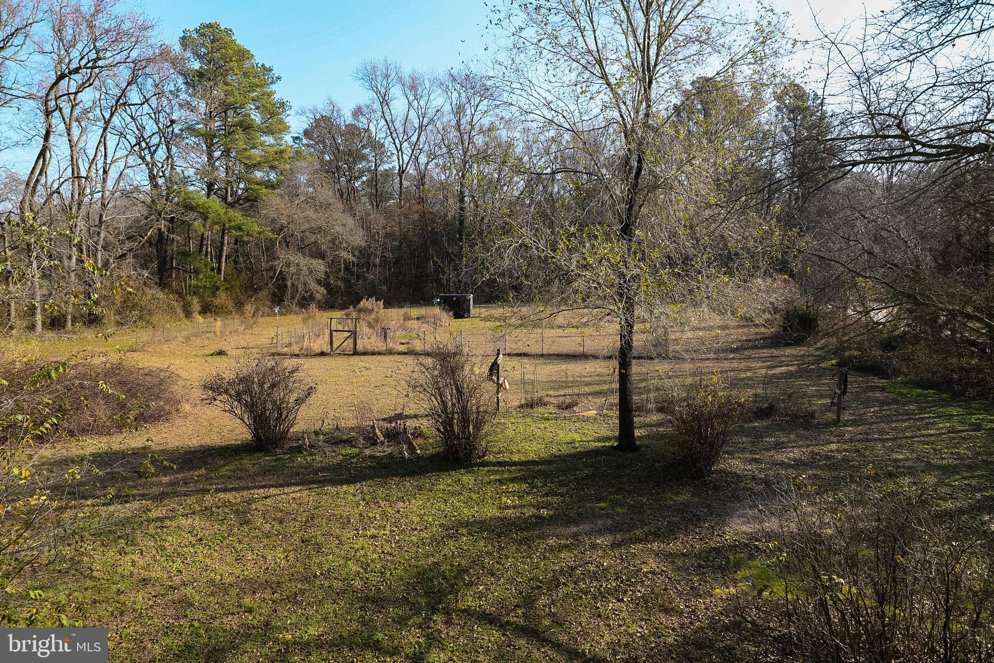 26741 Siloam Road Salisbury, MD 21801 - Photo 60 of 73 View from deck of backyard