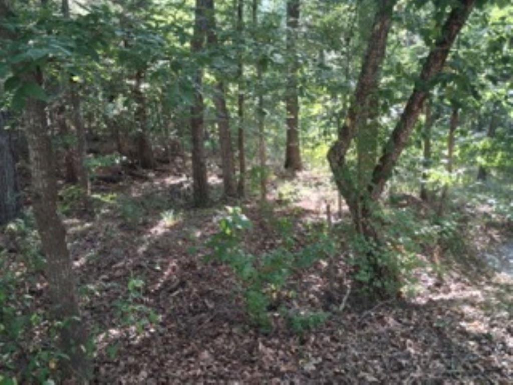 Tbd Summit Ridge Murchison, TX 75778 - Photo 4 of 16 Another view of your future home site