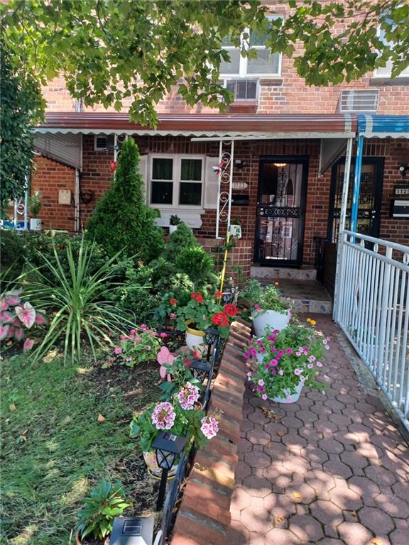 Canarsie Flower Market Brooklyn Best Flower Site