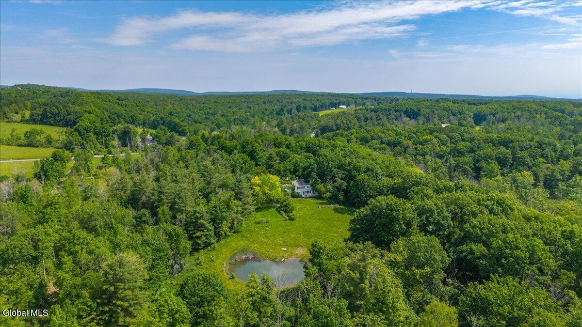 9 Gibson Road Westerlo, NY 12193 - Photo 48 of 56 51-gibson-10