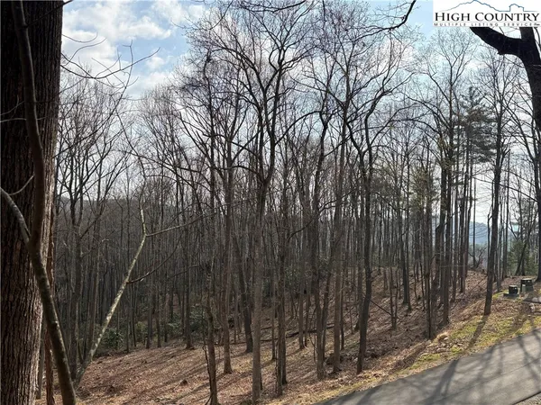 $112,000 | Wildcat Wilderness Parkway, Deep Gap, NC 28618