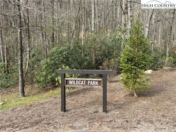 $112,000 | Wildcat Wilderness Parkway, Deep Gap, NC 28618
