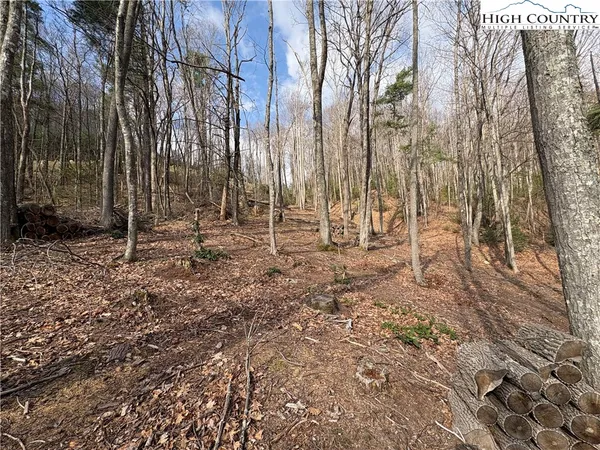 $112,000 | Wildcat Wilderness Parkway, Deep Gap, NC 28618