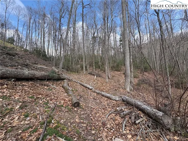 $112,000 | Wildcat Wilderness Parkway, Deep Gap, NC 28618