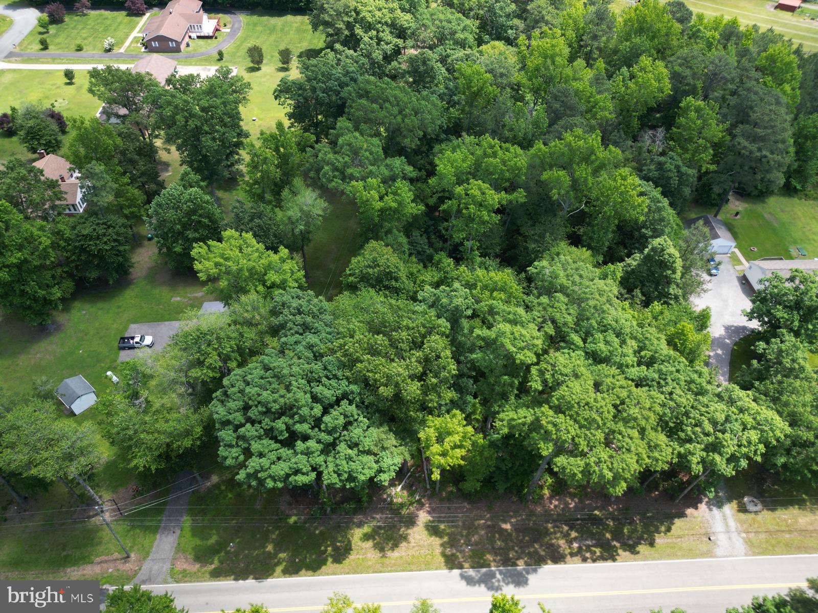 8675 Strath Road Richmond, VA 23231 - Photo 8 of 9 Gallery Image 8