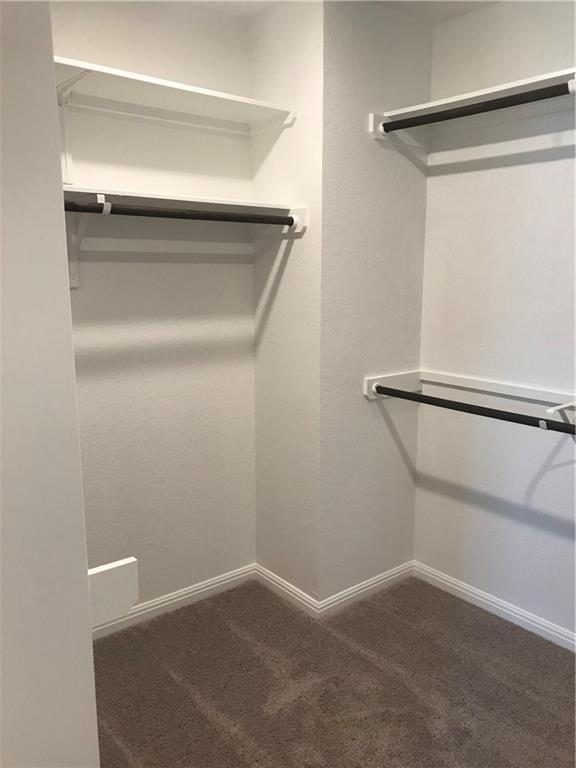 115 Iron Rail Road Dripping Springs, TX 78620 - Photo 9 of 16 Walk in closet with dark colored carpet