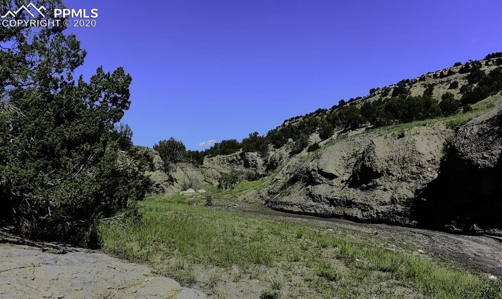 Tbd Lot 7 Pickney Road Rye, CO 81069 - Photo 11 of 16