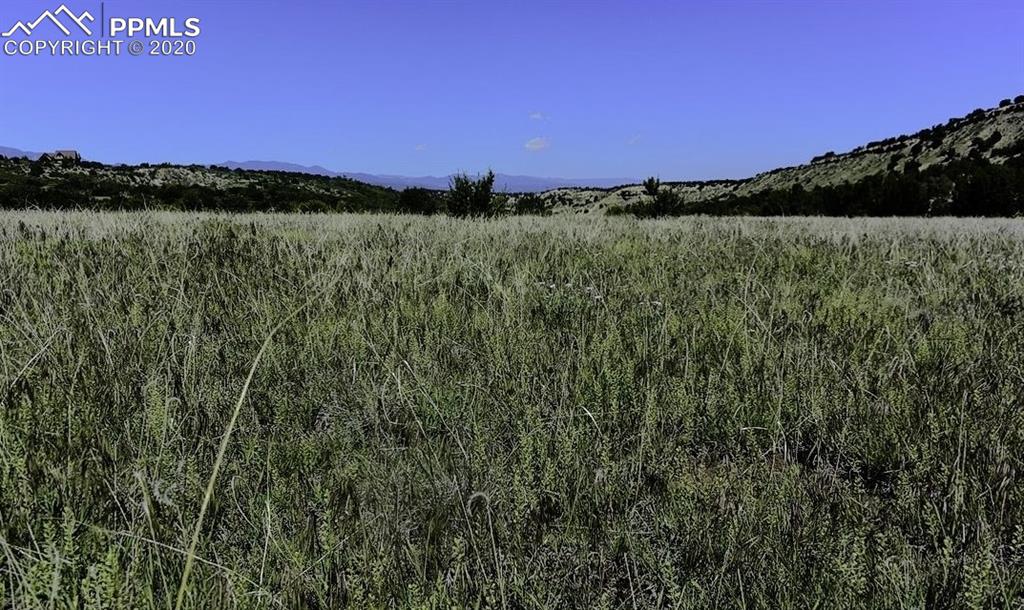 Tbd Lot 7 Pickney Road Rye, CO 81069 - Photo 13 of 16