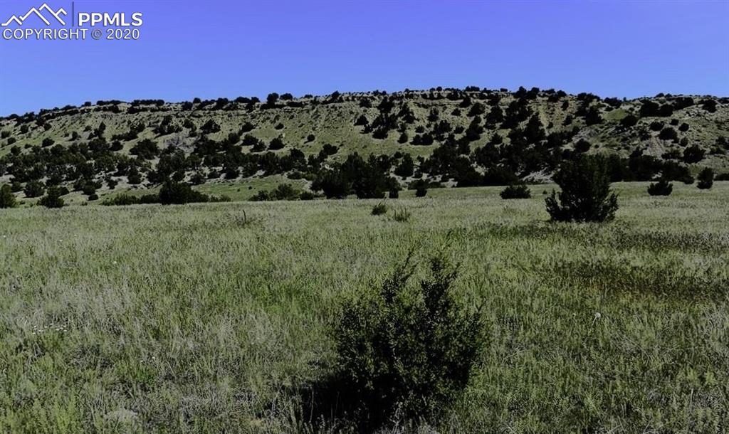 Tbd Lot 7 Pickney Road Rye, CO 81069 - Photo 14 of 16