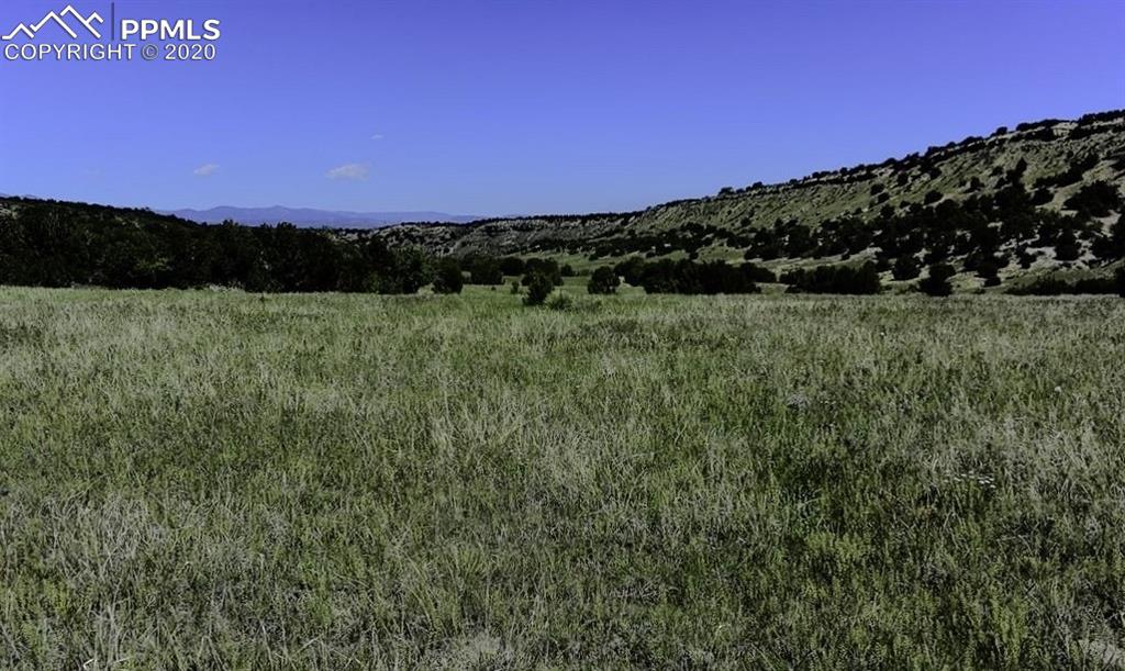 Tbd Lot 7 Pickney Road Rye, CO 81069 - Photo 15 of 16