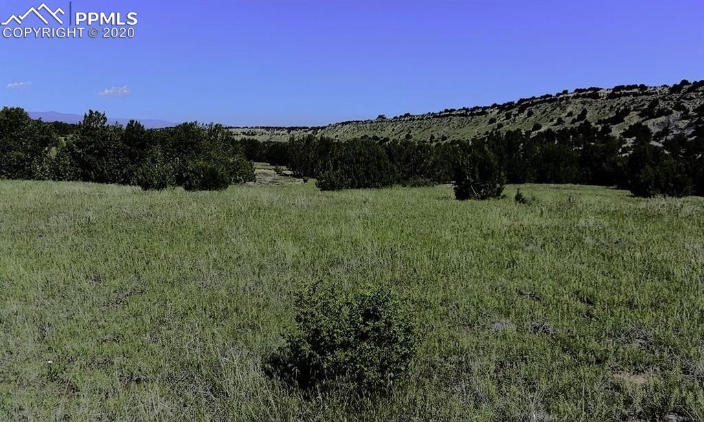 Tbd Lot 7 Pickney Road Rye, CO 81069 - Photo 16 of 16