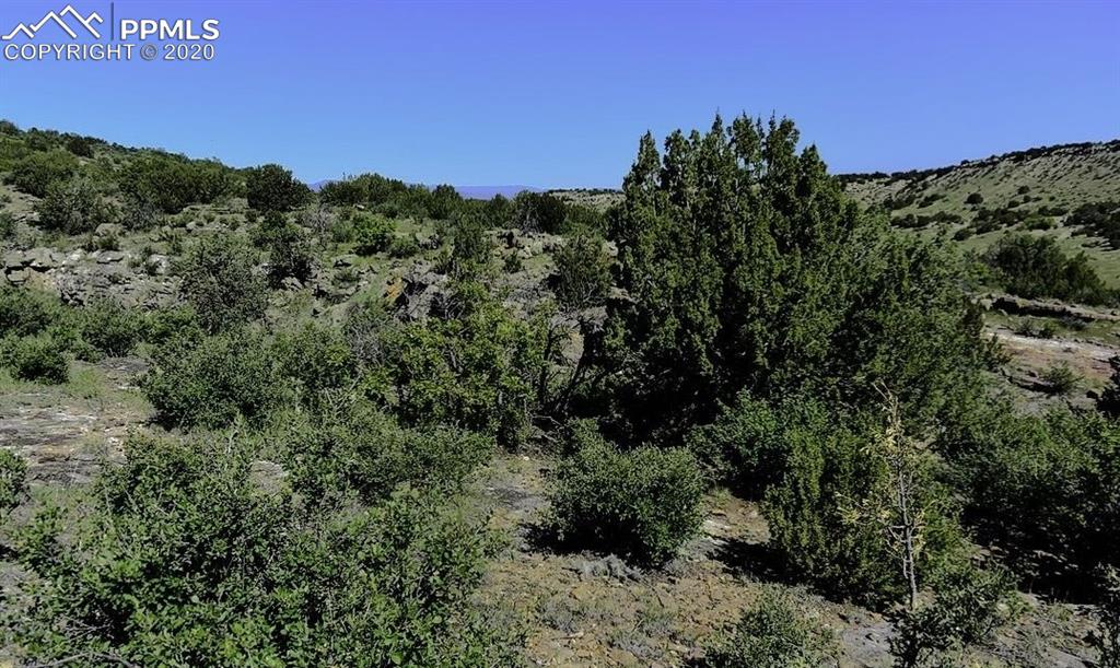 Tbd Lot 7 Pickney Road Rye, CO 81069 - Photo 3 of 16