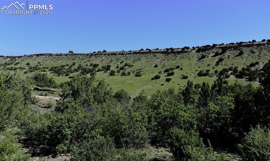 Tbd Lot 7 Pickney Road Rye, CO 81069 - Photo 4 of 16