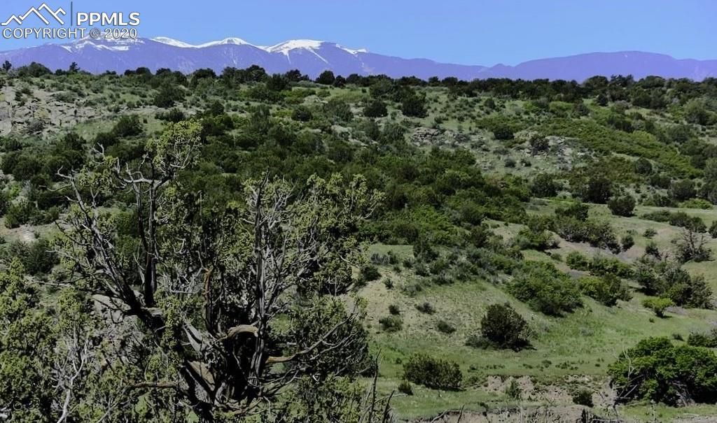 Tbd Lot 7 Pickney Road Rye, CO 81069 - Photo 7 of 16