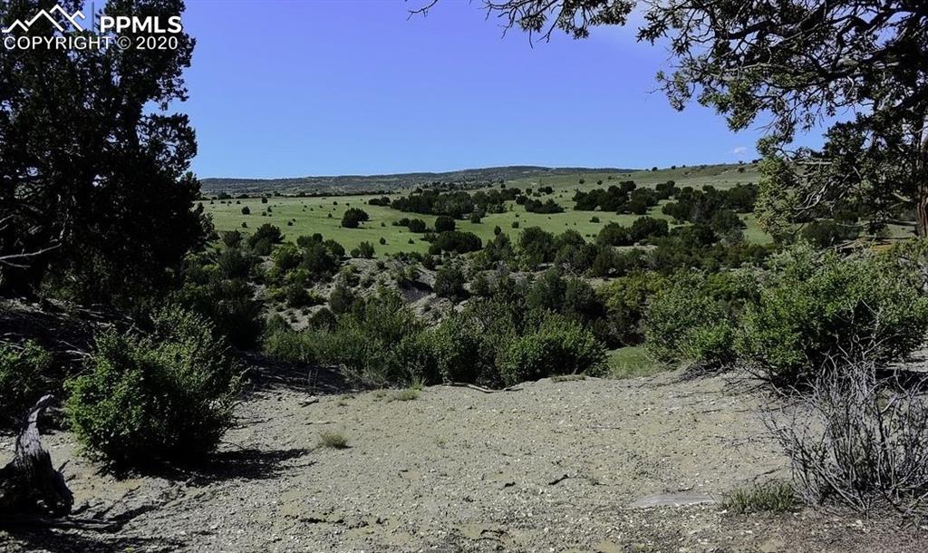 Tbd Lot 7 Pickney Road Rye, CO 81069 - Photo 8 of 16